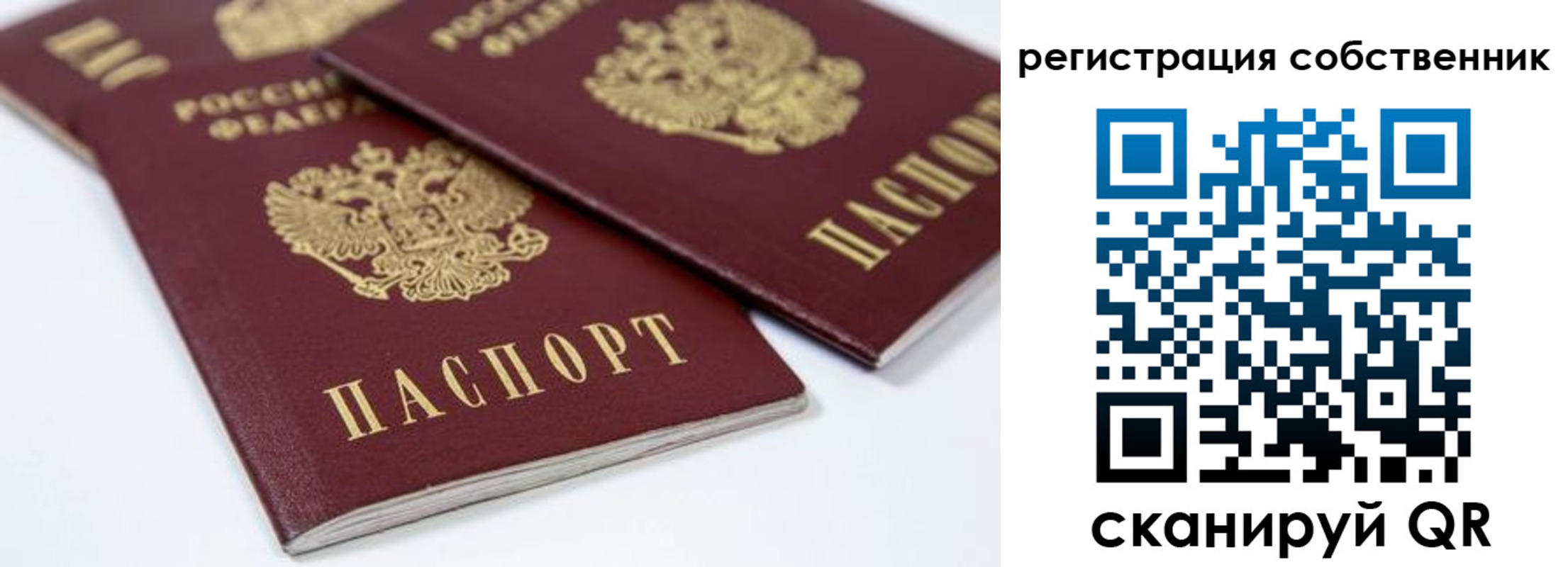 прописка для школы в Кировске